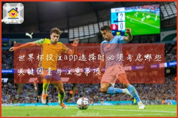 世界杯投注app选择时必须考虑哪些关键因素与注意事项