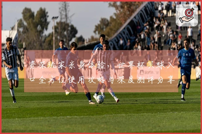 资深玩家亲身体验，世界杯买球入口全方位使用攻略与深度测评分享