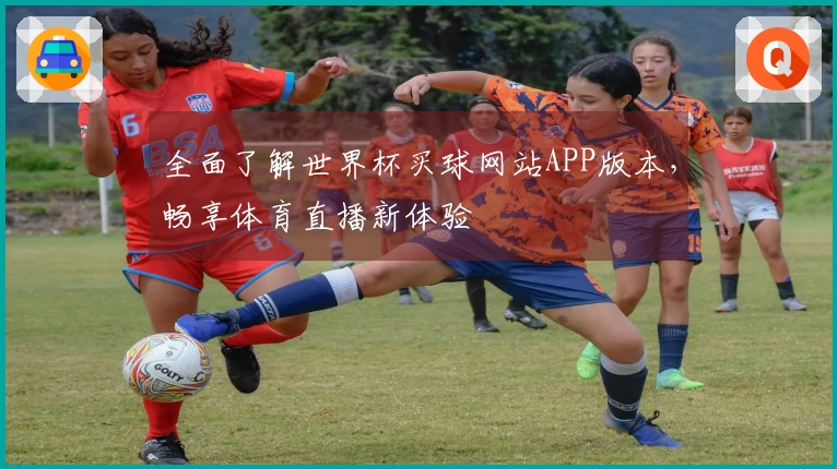 全面了解世界杯买球网站APP版本，畅享体育直播新体验