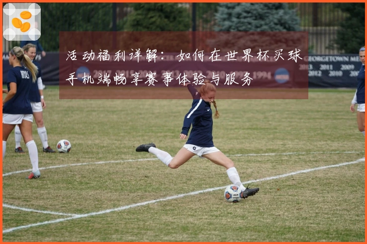 活动福利详解：如何在世界杯买球手机端畅享赛事体验与服务