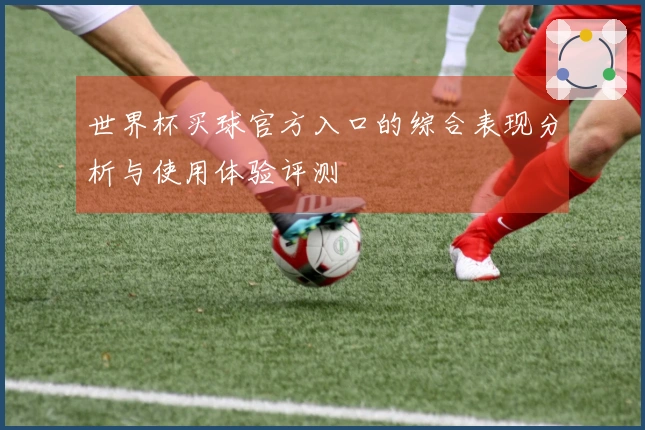 世界杯买球官方入口的综合表现分析与使用体验评测