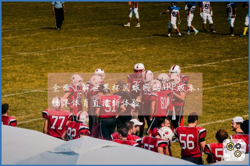 全面了解世界杯买球网站APP版本，畅享体育直播新体验