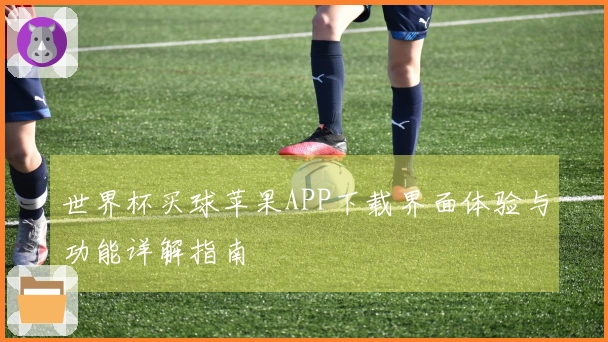 世界杯买球苹果APP下载界面体验与功能详解指南