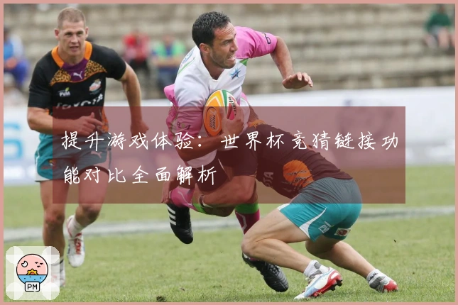 提升游戏体验：世界杯竞猜链接功能对比全面解析