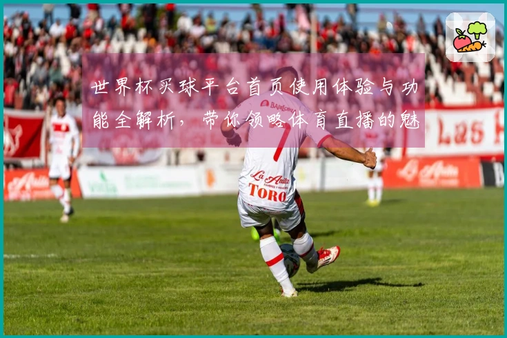 世界杯买球平台首页使用体验与功能全解析，带你领略体育直播的魅力