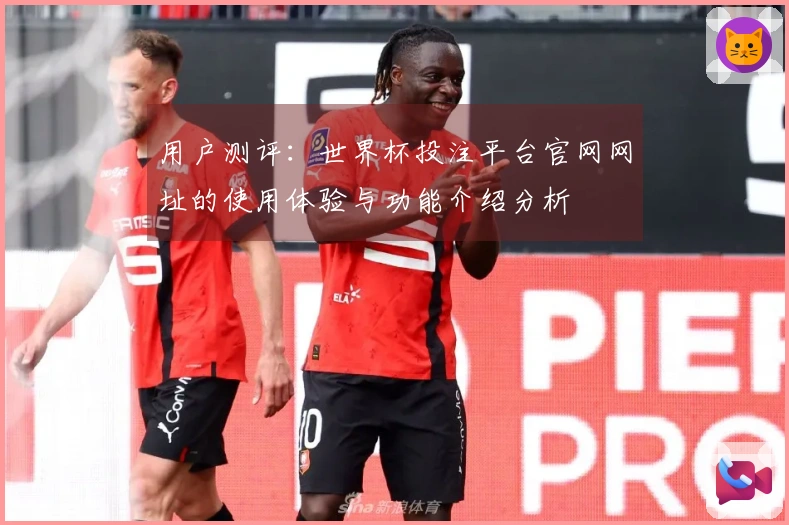 用户测评：世界杯投注平台官网网址的使用体验与功能介绍分析