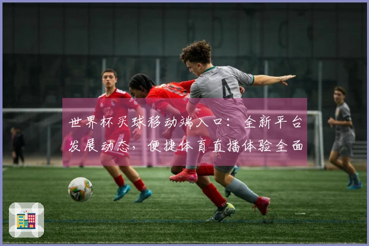 世界杯买球移动端入口：全新平台发展动态，便捷体育直播体验全面升级
