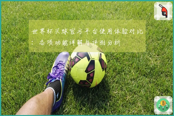世界杯买球官方平台使用体验对比:各项功能详解与评测分析