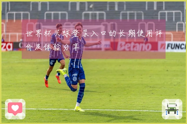 世界杯买球登录入口的长期使用评价及体验分享