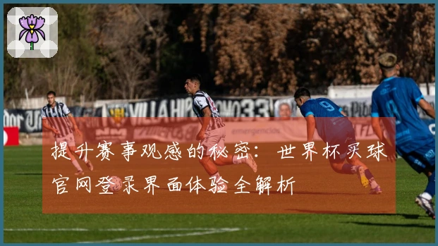 提升赛事观感的秘密:世界杯买球官网登录界面体验全解析