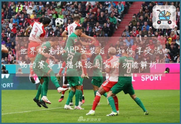 世界杯竞猜APP安装后，如何享受流畅的赛事直播体验与实用功能解析