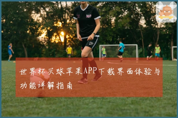 世界杯买球苹果APP下载界面体验与功能详解指南