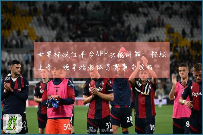 世界杯投注平台APP功能详解：轻松上手，畅享精彩体育赛事全攻略