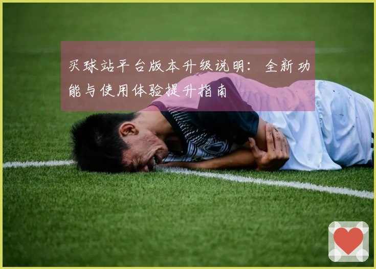 买球站平台版本升级说明：全新功能与使用体验提升指南
