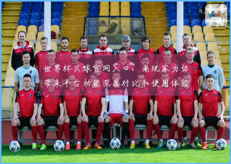 世界杯买球官网入口，老玩家为你带来平台功能深度对比和使用体验分享